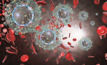 Ensayan respuesta ante epidemia que podría matar a 900 millones de personas 