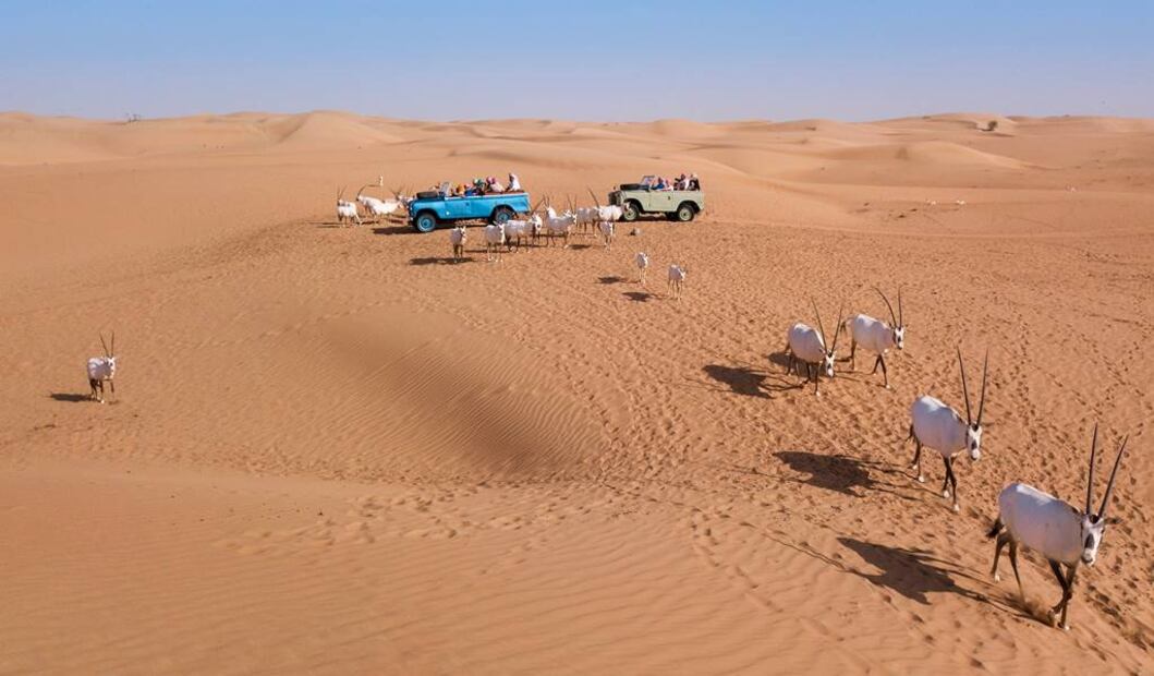 Foto: Platinum Heritage Dubai