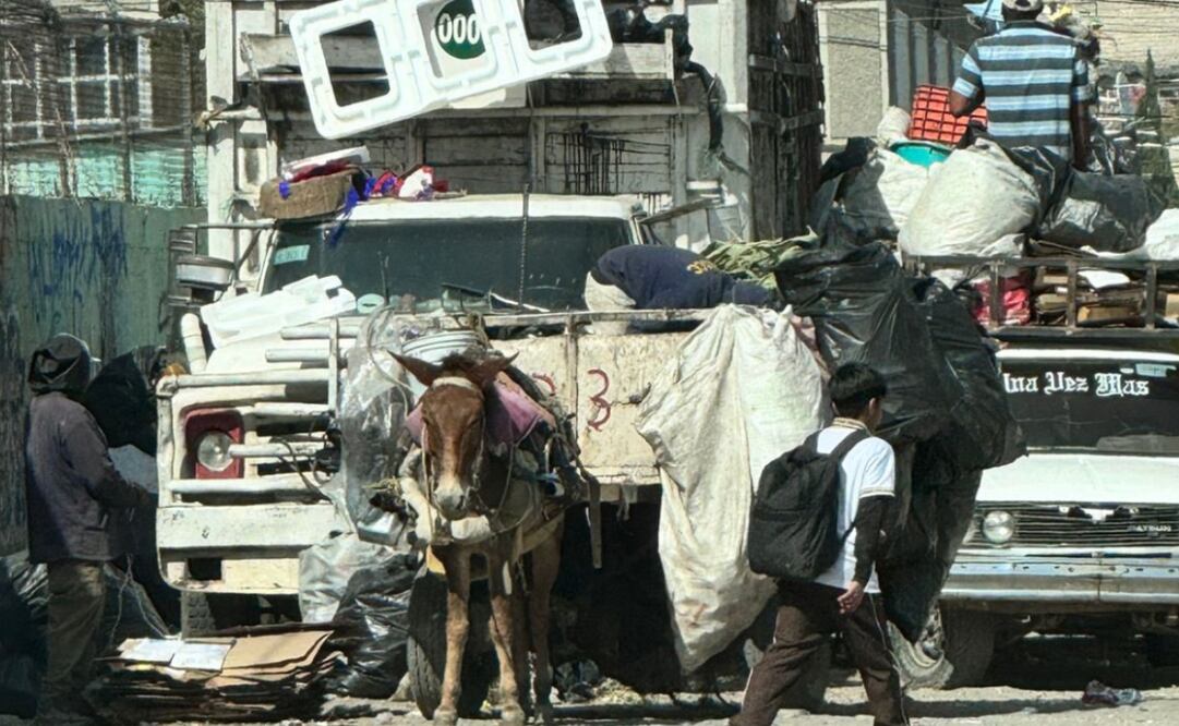 Activistas de Seres Libres denuncian que las “quieren linchar. Foto: Redes sociales
