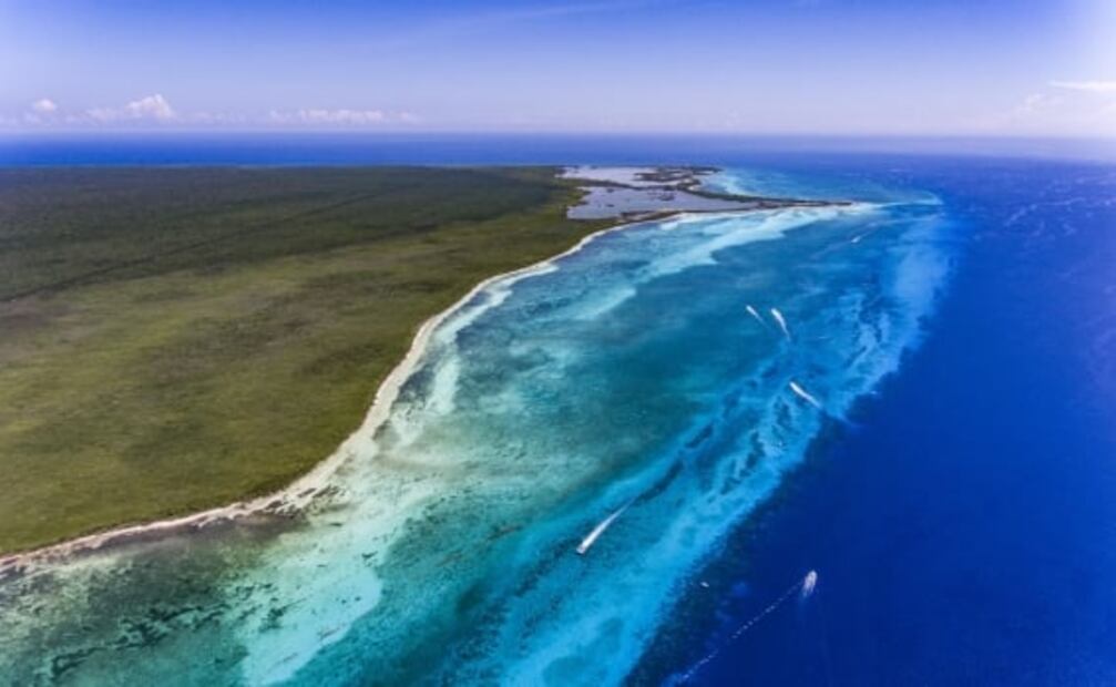 El Cielo, la playa de Cozumel donde habitan estrellas de mar