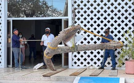 Descubren ancla antigua de 1.5 toneladas en Yucatán