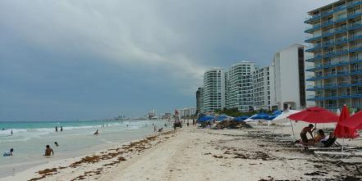 Playas de Cancún amanecen libres de sargazo