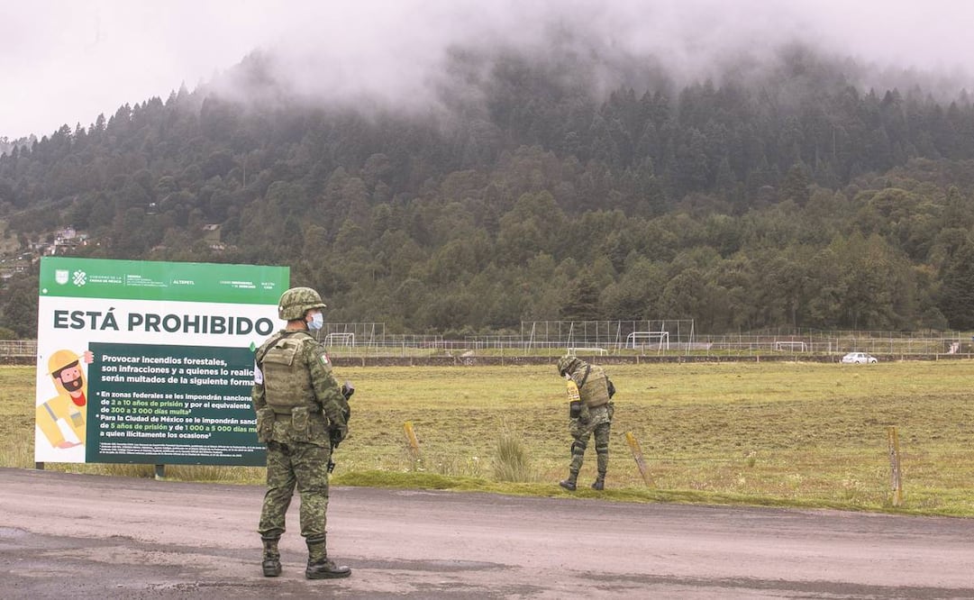 Las zonas de Topilejo, Milpa Alta y Ajusco son las más afectadas por la tala ilegal de árboles. Foto: ARCHIVO EL UNIVERSAL