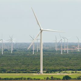 FMI plantea impuesto verde contra calentamiento global