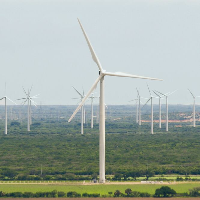 El FMI propuso que los gobiernos deben dar incentivos a personas y empresas para adoptar el uso de fuentes de energía limpia. ARCHIVO EL UNIVERSAL