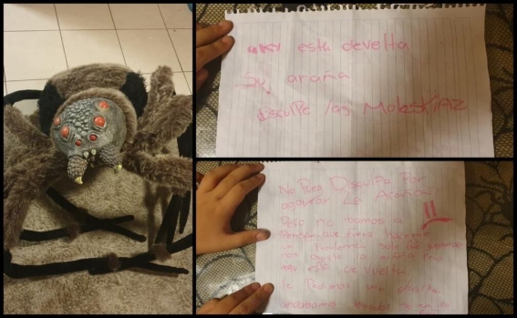 Ladrones devuelven “araña gigante” con mensaje de disculpas en Nuevo León 