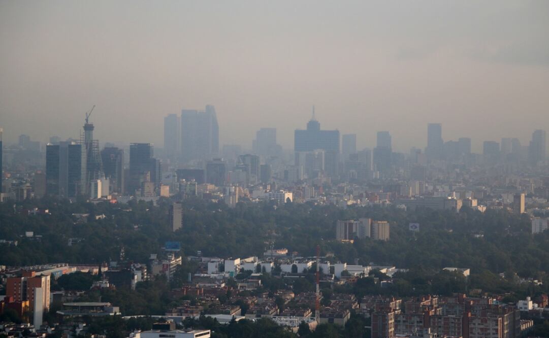 La comunidad científica está de acuerdo en que las personas responden de manera distinta a factores como la contaminación del aire. (FOTO: Archivo/EL UNIVERSAL)