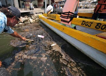 Fuga de hidrocarburo devasta fauna y pesca en zona costera de Tabasco; pescadores denuncian perdidas económicas