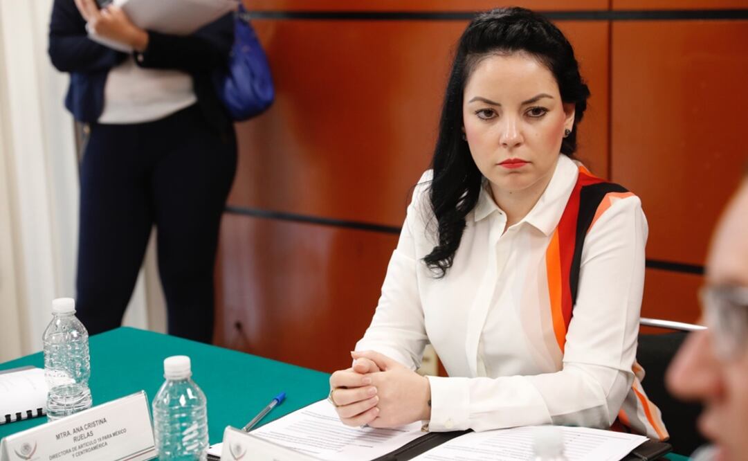 La presidenta de la Comisión Especial de Seguimiento a las Agresiones a Periodistas y Medios de Comunicación de la Cámara de Diputados, Brenda Velázquez (Foto: Archivo / EL UNIVERSAL)