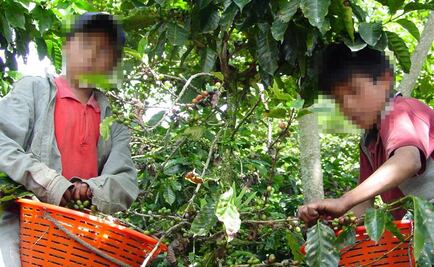 Rescatan a 66 guatemaltecos víctimas de explotación laboral