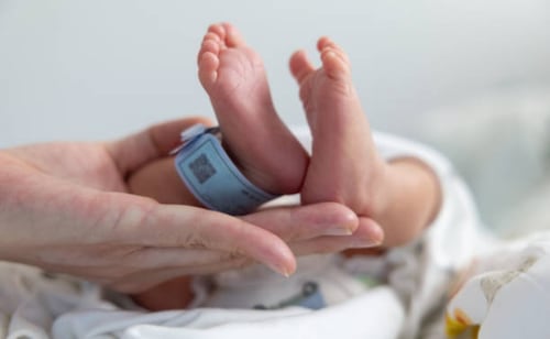 IMSS se reúne con familias de bebés fallecidos en Durango; entrega expedientes clínicos y reporta avances