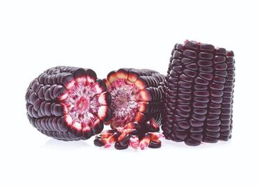 Conoce los beneficios del maíz morado
