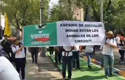 Denuncian en Senado de inoperante prohibición de animales en cautiverio