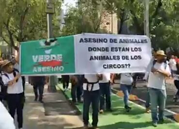 Denuncian en Senado de inoperante prohibición de animales en cautiverio