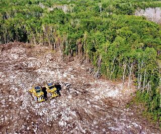 Expropia AMLO 36 inmuebles para Tren Maya