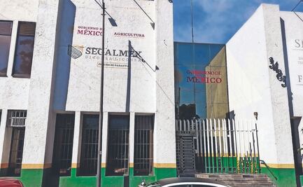 Con un fraude a cuestas, Segalmex continuó con las malas prácticas