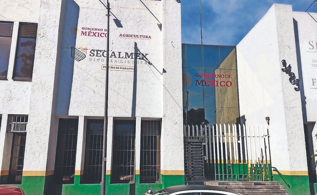 En febrero de 2022, Segalmex se vio envuelto en un escándalo de fraude por 15 mil millones de pesos revelado por la Auditoría Superior de la Federación. ARCHIVO EL UNIVERSAL