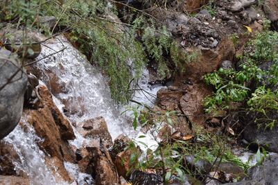 Geólogos revisan grieta en Atoyac