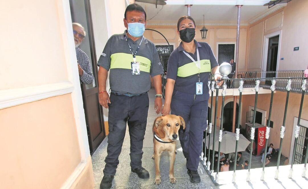 Miguel y Jessica, miembros de la DASU, son los encargados de cuidar a Carolino. Foto: Omar Contreras