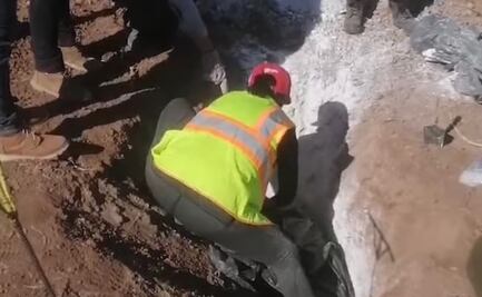 Colectivos encuentran 14 cuerpos en fosas clandestinas en Sonora