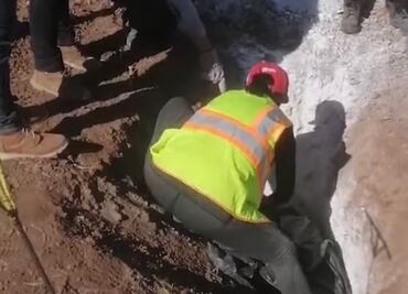 Colectivos encuentran 14 cuerpos en fosas clandestinas en Sonora