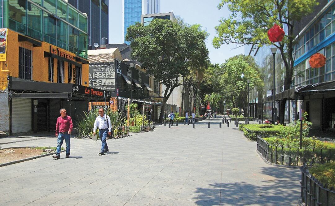 La propuesta del proyecto en Zona Rosa prevé la intervención de 806 predios