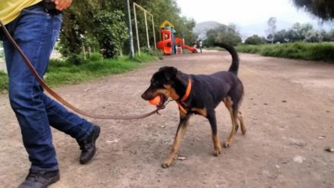 Así era la vida de "Borras" antes de Roma