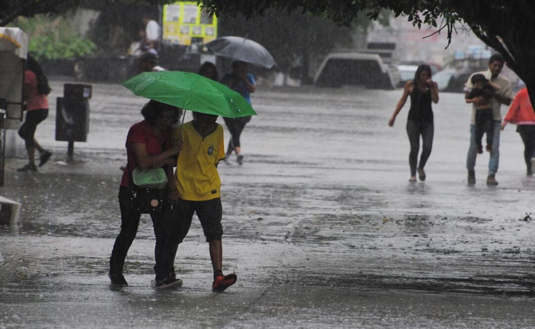 Foto: Archivo/ Cuartoscuro               