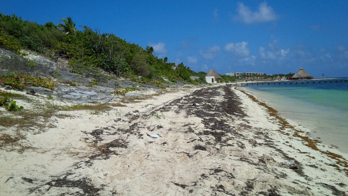 Predio localizado en Punta Nizuc, en la Tercera Etapa de la Zona Hotelera de Cancún, en donde se pretende desarrollar el hotel de 530 habitaciones en un edificio de 16 niveles (Foto: Adriana Varillas)