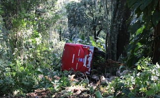 Volcadura de autobús deja 30 heridos en zona montañosa de Veracruz; conductor perdió el control de la unidad y cayó a un barranco