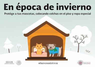 Recomienda PC de Aguascalientes proteger a mascotas del frío