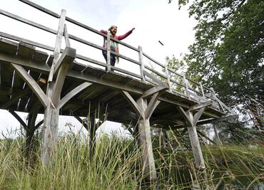 Puente de Winnie Pooh será subastado, es uno de los "objetos literarios más emblemáticos que existen"