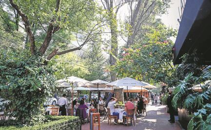 Vecinos de Polanco ventanearán en redes a restauranteros que violen plan  “Ciudad Al Aire Libre”