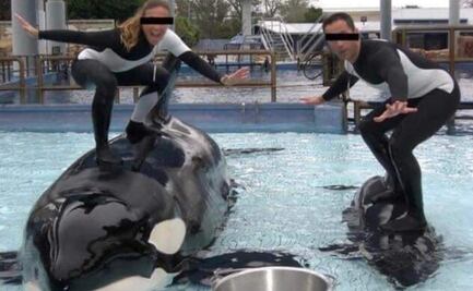 ¡No quiero morir!: El último grito de una entrenadora antes de ser atacada por una orca