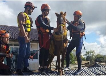 FOTOS: Así fue el rescate de "Caramelo", caballo que quedó atrapado en un techo por las inundaciones en Brasil