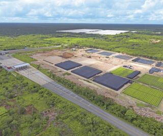 Piden moches en Sembrando Vida, el programa estrella de AMLO, denuncian campesinos