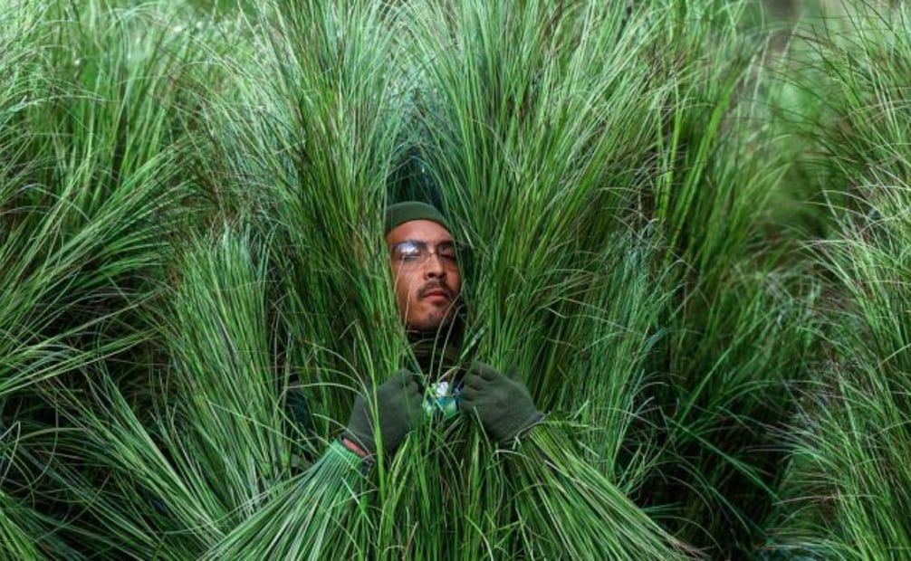 Foto: Captura de pantalla en TikTok