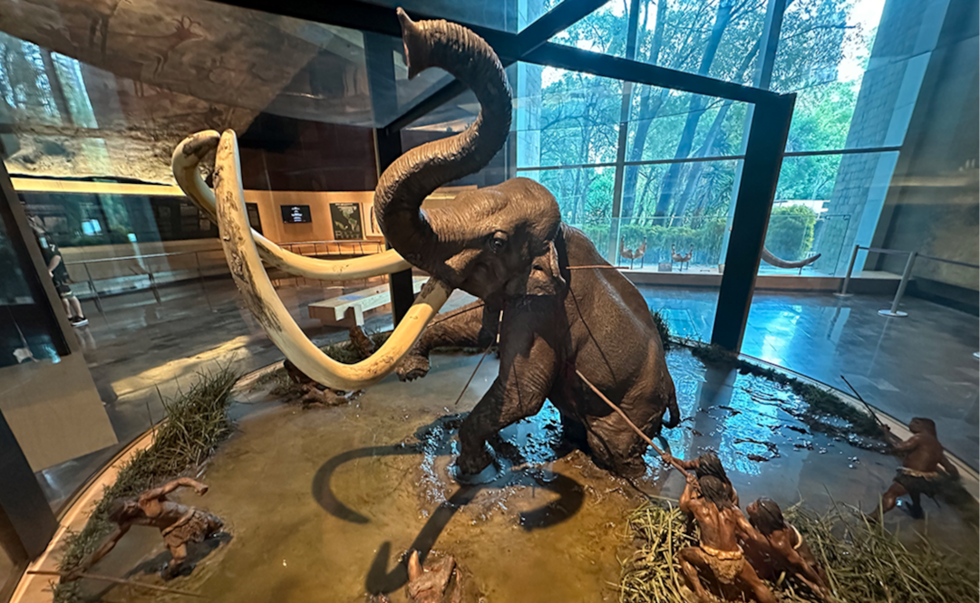 Diorama de la caza del Mamut. Fuente: Museo Nacional de Antropología.