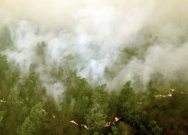 Alerta por emisiones contaminantes en Indonesia