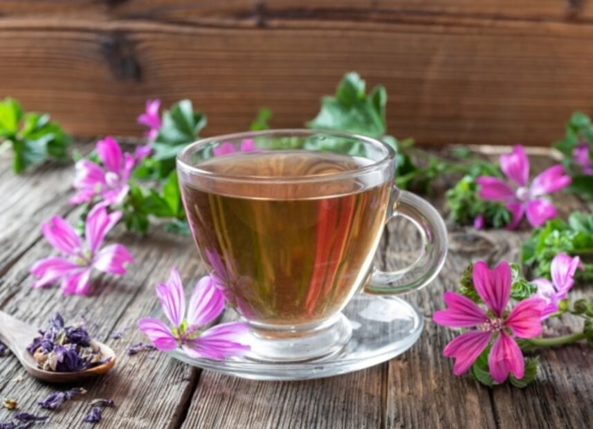 7 Flores comestibles que tienes que probar