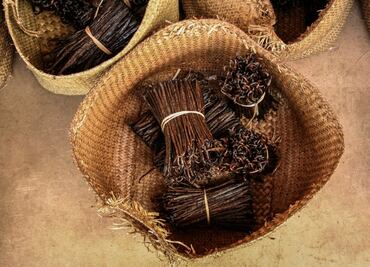 La ruta de la vainilla en el Totonacapan