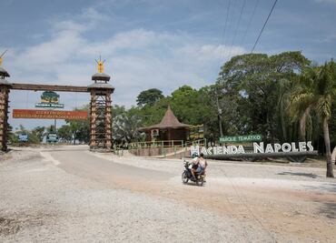 Sacrifican tigre que escapó de parque temático en antigua hacienda de Pablo Escobar