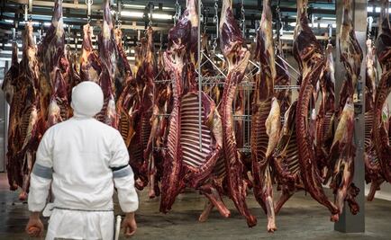 Carne de caballo mexicana, platillo gourmet de exportación