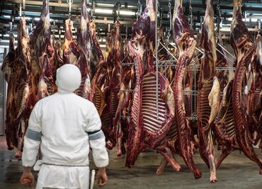 Carne de caballo mexicana, platillo gourmet de exportación