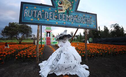 Xochimilco se reporta listo para celebraciones del Día de Muertos; se espera asistencia de 5 mil personas