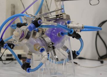 Desarrollan científicos de la UNAM estómago artificial; permite revisar disolución de fármacos