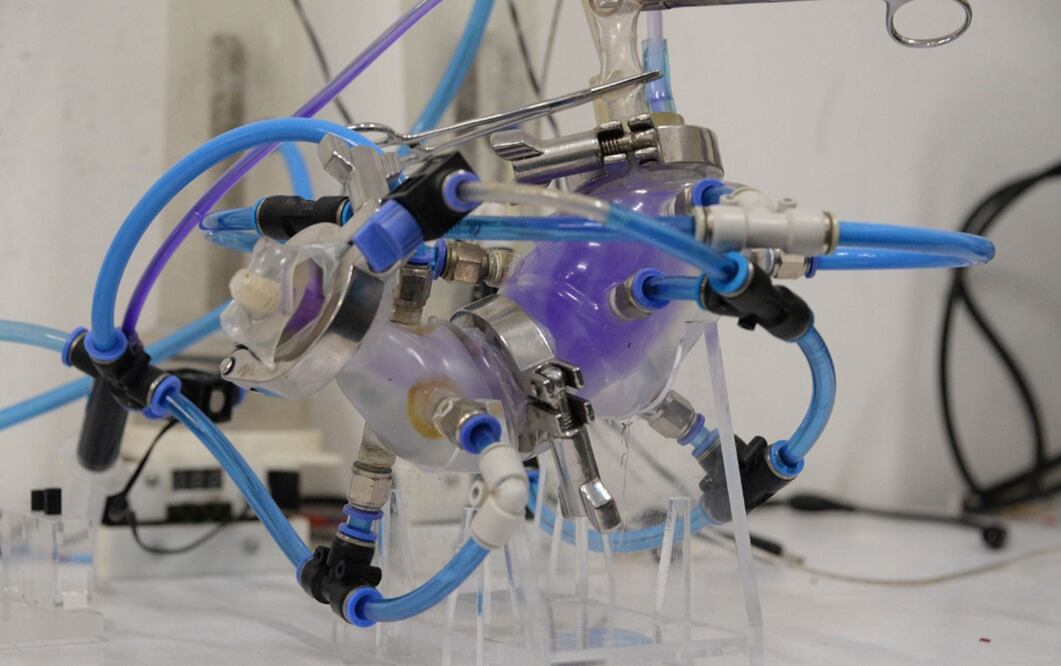 Estómago artificial. Foto: cortesía UNAM