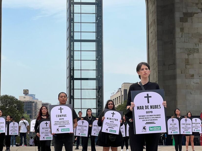 Activistas se manifiestan contra las corridas de toros - Foto: Fernanda Dávalos