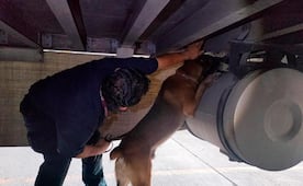 "Chocolate" detecta 76 kilos de cocaína en camión en Aduana de Tijuana; estaban ocultos en un doble fondo