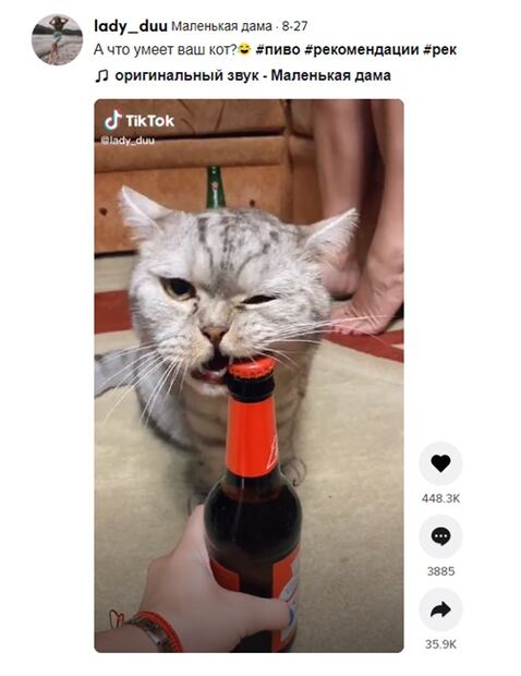 Gato se hace viral en TikTok por destapar cerveza con los dientes